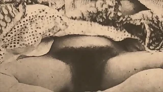 2246 pussy fucking porn videos